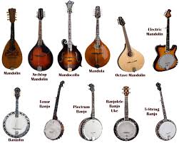 Music pictures for classroom and therapy use. What Is The Difference Between Banjo And Mandolin Syntheway Virtual Musical Instruments
