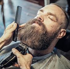 Top 10 Most Popular Beard Styles Hone