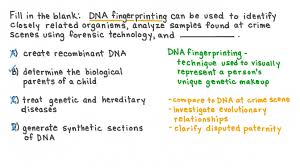 dna fingerprinting nagwa