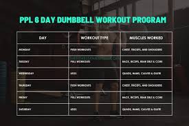 6 day dumbbell workout plan with