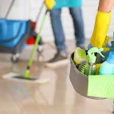 holistic cleaning services