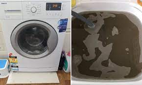 How to use a dishwasher : Mums Share Horror Photos Of The Disgusting Filth Lurking In Their Clean Washing Machines Daily Mail Online