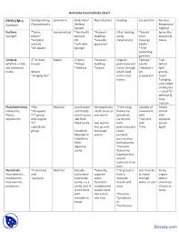 Animalia Invertebrate Chart Application Of Biology