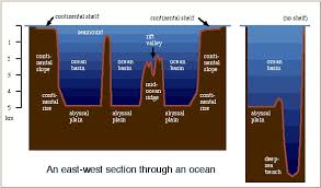the topography of the ocean floor