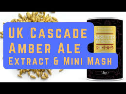 min mash and extract beer brewing