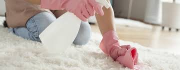 surrey carpet cleaning gu1 unparalleled