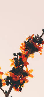 iphone x wallpaper no89 flower tree