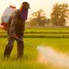 The Use of Pesticides