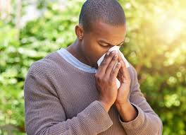 allergies and sinus allergy home remes