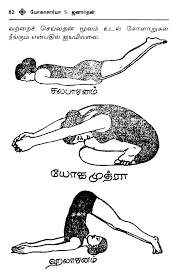 yoga asanas suitable for women