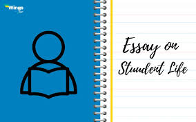 essay on student life 100 200 and 300