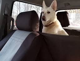 Pet Seat Covers Protect
