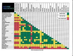 African Cichlid Compatibility Chart Related Keywords