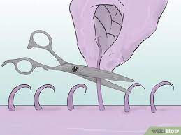 First, you need to shower to raise the hairs up on the body. How To Shave Your Pubic Hair 13 Steps With Pictures Wikihow