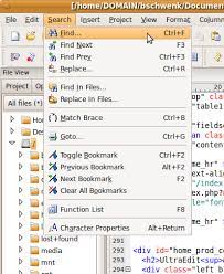 using find replace find in files and