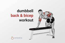 complete dumbbell back and bicep workout