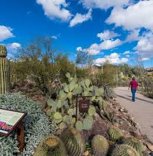 Tucson Attractions Passport Visit Tucson