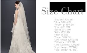 Passat Eyelash French Soft Lace Edge Long Chapel Wedding Bride Veil Db122
