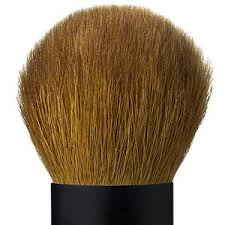 essence of beauty kabuki brush face