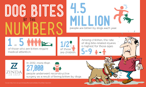 Dog Bite Statistics Zinda Law Group Pllc
