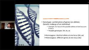 spc genetics and genetic tools for
