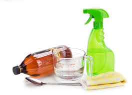 pet owners vinegar for cleaning