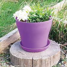 Plastic Plant Pot 13x10cm Purple