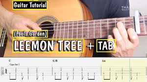 lemon tree fingerstyle tabs pdf