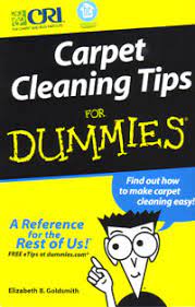 carpet cleaning tips for dummies by