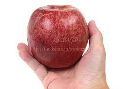 すわっこ＜リンゴ：旬の果物百科