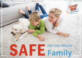 safe and effective carpet cleaning for