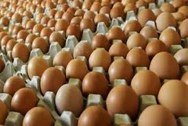 Kondisi itu tentunya mengurangi biaya memegang emas batangan. Harga Telur Ayam Di Jawa Bali Hari Ini 19 September 2020 Kota Surabaya Dan Denpasar Sejajar Kabar Lumajang