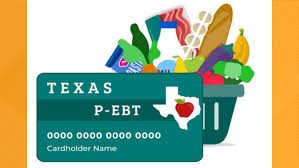 pandemic ebt card applications open