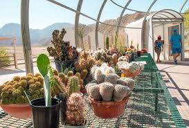 Desert Plant Conservation Center Opens