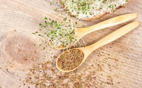 6 amazing alfalfa benefits nutrition