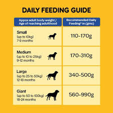 Pedigree Adult Dry Dog Food Meat And Rice 10 Kg Pack At Best