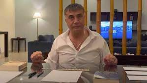 Sedat Peker'in gözaltına alındığı iddiasını paylaşmışlardı: Al Jazeera'den  habere düzeltme - 06.12.2021, Sputnik Türkiye