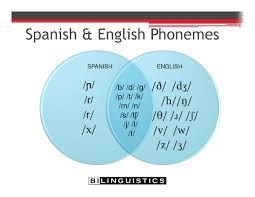 Articulation Errors And Second Language Learners Bilinguistics