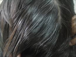 pre graying of hair indian