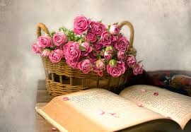 rose flowers books baskets pink flowers
