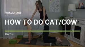 It's easy to overindulge, and feel bloated and puffy after a big meal. How To Do Cat Cow Yoga Pose Video Tutorial Karuna Tree