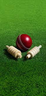 cricket ball bails football sports
