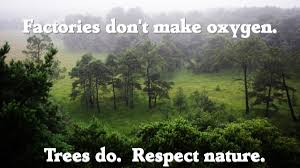 Factories dont make oxygen trees do! - The Organic Handkerchiefs Company
