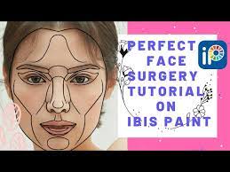 perfect face surgery on ibis paint x