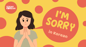 how to say i m sorry in korean 7