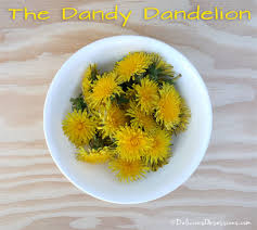 This will help you determine how. Dandelion Flower Fritters Recipe