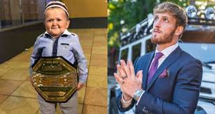 Further, after a series of funny videos, he got his nickname in which he. What Did Logan Paul Say About Hasbulla Magomedov In A Media Event For Her Fight With Floyd Mayweather Insider Voice