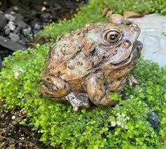 Concrete Bullfrog Statue Stone Toad 4