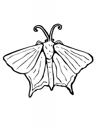It's a moth coloring book (or colouring book depending on where you're located) made entirely for entertainment purposes only, and may not be completely factually accurate. Free Printables For Kids My Kingdom Of Chaos