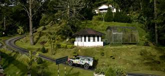 Lokasi zoo taiping terletak di kawasan semulajadi taman tasik taiping berhampiran dengan kaki bukit larut. Bukit Larut Tempat Pelancongan Di Perak Tempat Menarik